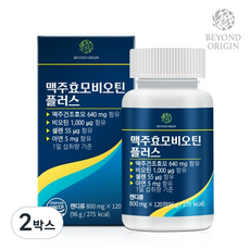 비욘드오리진 맥주효모비오틴 플러스 120회분, 2박스, 120정