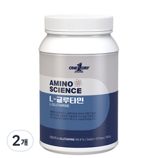 원데이뉴트리션 무맛_단백질 대상 L-글루타민, 2개, 500g