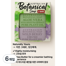 보테니컬 호주산 천연 향졸은 수제 데일리 비누 AUSTRALIAN Botanical Soup 알로에 베라 식물성 와일드베리 핑크 라이치 프랜치파니 순한 수제민감성 피부, 6개입, 200g
