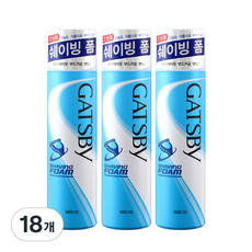 갸스비 쉐이빙 폼, 190g, 18개
