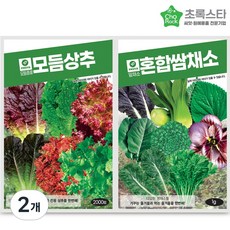 혼합쌈채소 모듬상추 상추씨앗 2종세트, 2개
