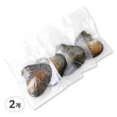 리빙릿 진주 조개캐기 체험 키트 DIY 이색체험 천연 악세사리, 2개, 진공포장