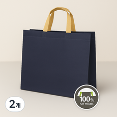 튼튼한 부직포 쇼핑백 10p세트, 네이비, 2개
