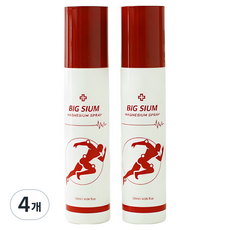 빅슘 뿌리는 마그네슘 스프레이, 120ml, 4개