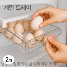 달자네 냉장고 정리 슬라이드 트레이 정리함 슬라이딩 냉장고 정리필수템, 2개, 계란 트레이