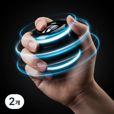 호담즈 전완운동 손목강화 자이로볼, 2개, 블랙