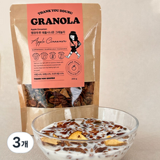 [땡큐뚜루]_애플시나몬 그래놀라 수제 그래놀라, 3개, 200g