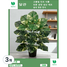 실내 장식에 쓰이는 인조 녹라나무는 18개의 잎이 높이 73cm 인조 꽃 인조 식물이다, 3개, 녹라나무 높이 73cm