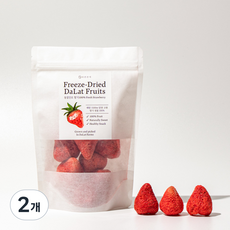 더건간식 동결건조 달랏 딸기 해썹인증 과일칩, 100g, 2개