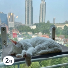 콩냥팥냥 완제품 고양이 창문 해먹 부착형 해먹, 2개, 그레이