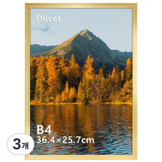 olivet 내추럴 우드 인테리어 액자 벽걸이 탁상용 겸용 무타공 사진틀 B4, 3개, 금색