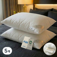 담은일상 휴비스 5성급 호텔 베개 빨아쓰는 지퍼형 높이조절 무형광, 5개, 화이트
