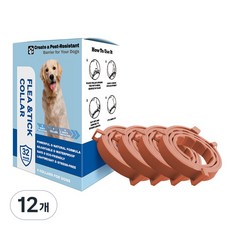 Kuchae 애완동물 방충 목걸이 모기 진드기 퇴치 차단 필수템, 강아지 오렌지63.5cm, 12개