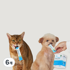 웰찹 식물성 강아지 고양이 펫 Omega 3 트리플 알티지 500 어취제로 알러지프리 30ea, 6개, 오메가3, 30회분 6개, 오메가3, 30회분