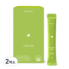 다이어팅티 애플맛 체지방 감소 혈당케어 비타민 미네랄 12중 기능성 마시는 탄산 다이어트, 14회분, 2박스