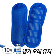 인슐린 보관 아이스팩 겔팩 아이스겔 장시간 냉기 유지 휴대용 약품 냉각팩 미니 보냉 19x7cm, 10개