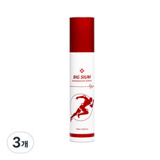 빅슘 뿌리는 마그네슘 스프레이, 120ml, 3개