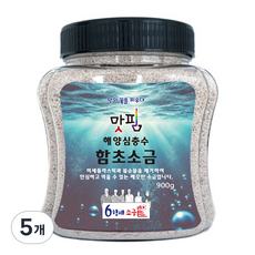 6형제 소금 미세플라스틱 불순물 제거 해양심층수 함초소금, 5개