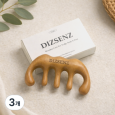 디즈센즈 두피괄사 얼굴 바디 두피 괄사마사지기, 우드, 3개