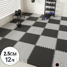 Kemei 두툼한 헬스 매트 2.5cm 홈짐 층간소음 바닥 매트 4P 냉기차단, 블랙, 12개