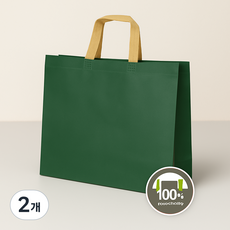 튼튼한 부직포 쇼핑백 10p세트, 그린, 2개