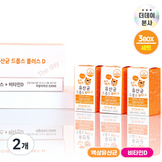 [더데이] 영유아유산균 아기유산균 비타민D 드롭 프로바이오틱스 3병 선물세트, 10ml, 2개