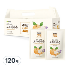 자연식품 자연그대로 도라지배즙, 100ml, 120개