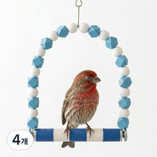 앵무새 발톱갈이 그네 횃대, 4개, 블루