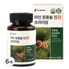 코어타민 파인 청풍솔 진 프리미엄 국산 솔잎 100% 식약청 인증 HACCP 추출물 농축액, 6개, 120정