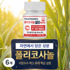 폴리코사놀 P20MAX 20mg 식약청인증 HACCP, 6개, 60정