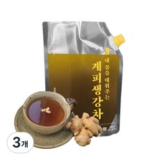 수제 생생강 계피생강차 수정과 대용량 카페납품, 3개, 1개입, 1L