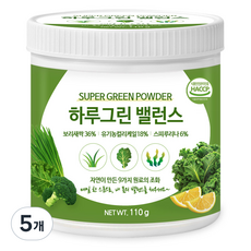 푸른들판 무가당 하루 그린 파우더 슈퍼 그린 주스 스무디 분말 스피루리나 케일, 5개, 110g
