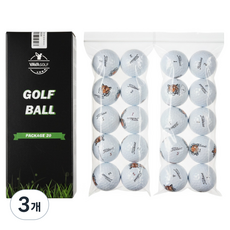 타이틀리스트 로스트볼 인쇄볼 20알 A A+급 패키지, 3개, 화이트, 20개입