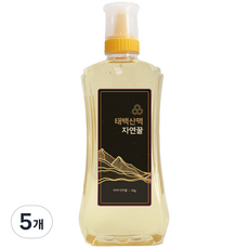 자연에서 온 자연벌꿀 국산 자연산 태백산맥 그린벨트 아카시아꿀, 1kg, 5개