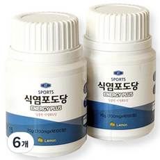 스포츠 식염포도당 에너지플러스 100정, 6개