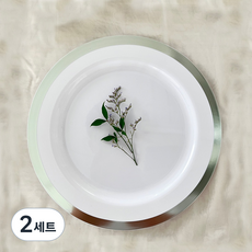 쓱싹 고급 일회용 파티 글로리 접시 26cm 플라스틱 캠핑 홈파티 식기, 10개, 2세트