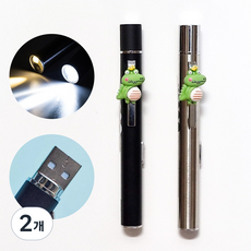 USB 충전식 동공펜 LED 라이트펜 불빛 펜 2종 라이트 간호사 군인, 2개, 그린악어 실버