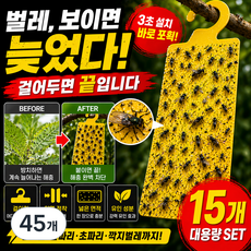 파리끈끈이 걸이형 러브버그 날파리 초파리 트랩 벌레 제거 끈끈이 해충 포획, 45개, 1세트