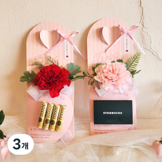 카네이션 캐리어꽃다발 어버이날 스승의날 생신선물 미니 용돈박스 어린이집 도도베니, 3개, 레드