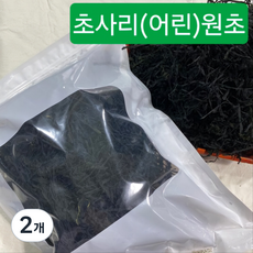 남해특산 초사리 돌미역/(한정특가판매)건미역, 500g, 2개