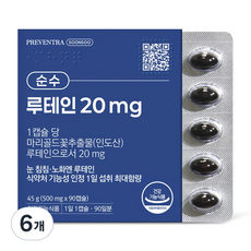 프리벤트라 순수 루테인 20mg 3개월분 / 일일 최대섭취량 눈건강 눈영양제, 6개, 90정