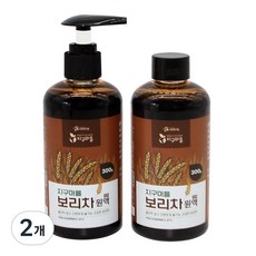 지구마을 국내산 보리차진액, 2개, 300g