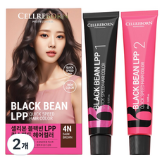 셀리본 블랙빈 LPP 퀵스피 헤어컬러 염색약 새치커버전용, 다크브라운, 2개