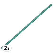 네이처컨테이너 녹색 21cm 개별포장 빨대, 500개입, 2개