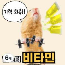 햄스터 비타민 기력회복 활력충전 마루칸 간식 먹이 노령햄찌 비타민C 비타민B VITAMIN, 5ml, 6개