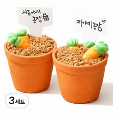 아이랑 함께 만드는 화분도 먹는 당근젤리 컵케이크 만들기 2인 DIY 놀이 세트, 3세트, 10종