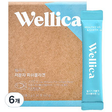 웰리카 저분자 피쉬 어린콜라겐 펩타이드 300달톤 이너뷰티, 6개, 60g