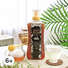 허니블룸 자연 야생화꿀 프리미엄, 6개, 1kg
