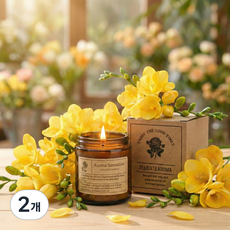 보르넬리 향기좋은 향초 캔들 집안 주방 냄새제거, 2개, 190g, 프리지아