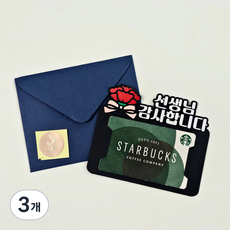 기프트카드 선물 봉투 스승의날 선생님선물 포장 카네이션, 3개, 블랙